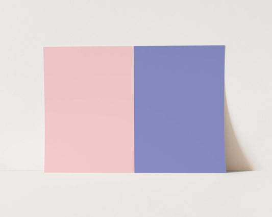 Pink & Blue Two-Tone Photography Backdrop